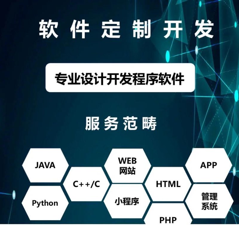 从定制开发见软件行业的生命力